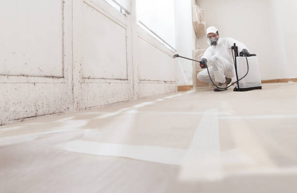 24/7 Emergency Basement Mold Remediation experts in Elizabeth, CO